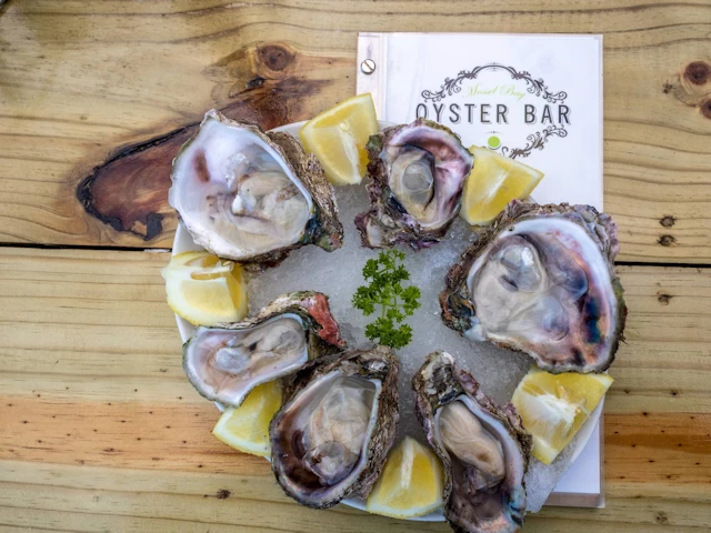 Mossel Bay Oyster Bar
