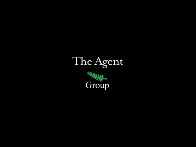 The Agent Real Estate