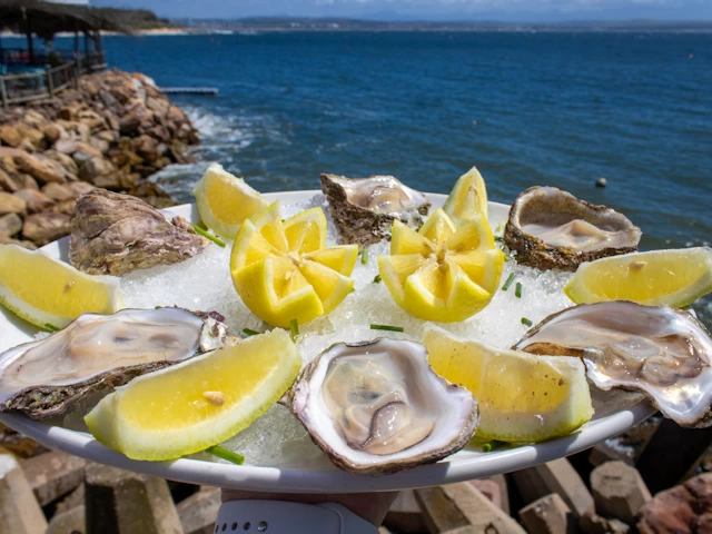 Mossel Bay Oyster Bar